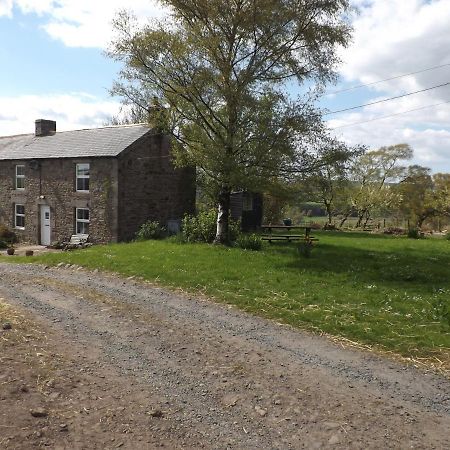 Hillis Close Farm Cottage Haltwhistle Eksteriør bilde