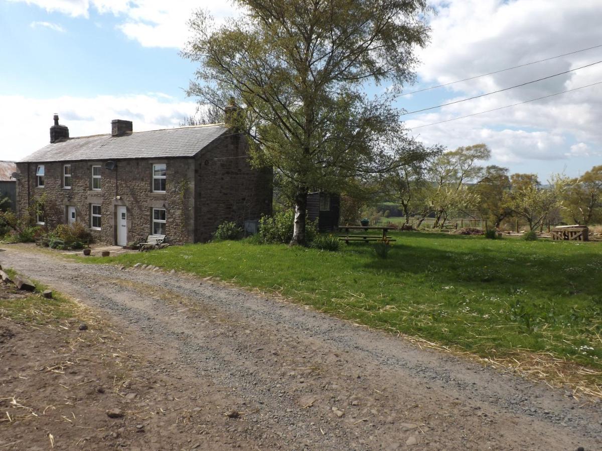 Hillis Close Farm Cottage Haltwhistle Eksteriør bilde
