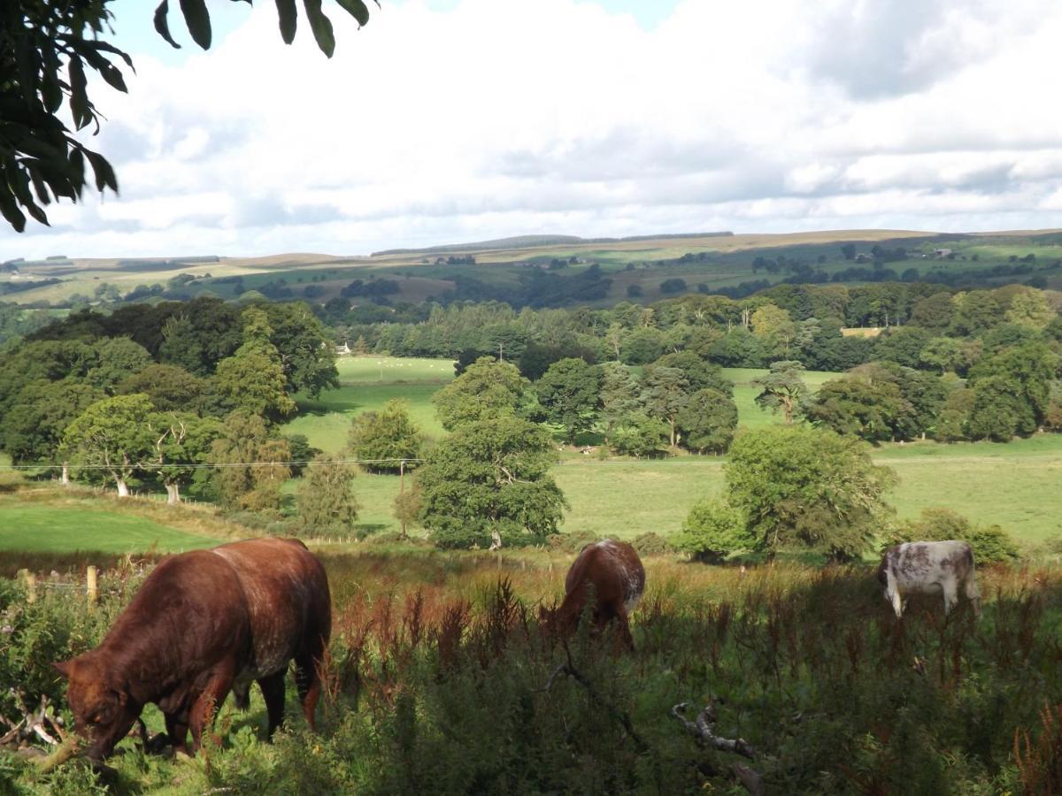 Hillis Close Farm Cottage Haltwhistle Eksteriør bilde